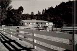 Filename=QHR_Barns_circa_1950s.jpg
Filesize=65KB
Dimensions=1200x800
Date added=Jan 06, 2009 QHR_Barns_circa_1950s.jpg