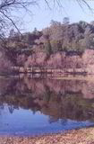 Filename=QHR_pond_@_winter.jpg
Filesize=121KB
Dimensions=776x1179
Date added=Jan 06, 2009 QHR_pond_@_winter.jpg